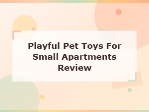 Best Playful Pet Toys for Small Apartments Review and Guide