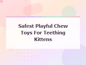 Safest Playful Chew Toys for Teething Kittens – Gentle and Fun Options