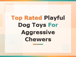 Top Rated Playful Dog Toys for Aggressive Chewers